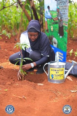 A Greening Our Horizons team member planting a seedling