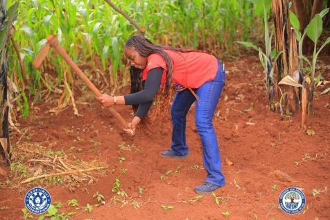 A Greening Our Horizons team member preparing soil for tree planting