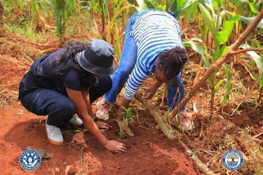 Cultivating Sustainability
